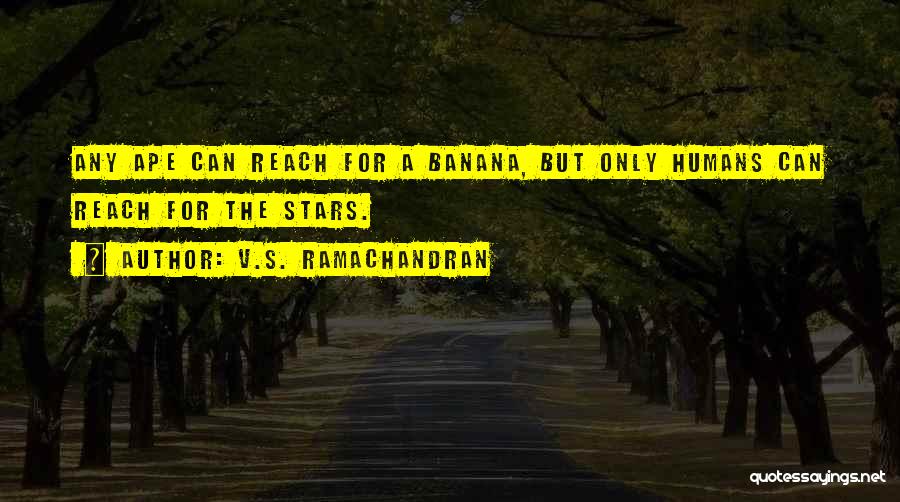 V.S. Ramachandran Quotes: Any Ape Can Reach For A Banana, But Only Humans Can Reach For The Stars.