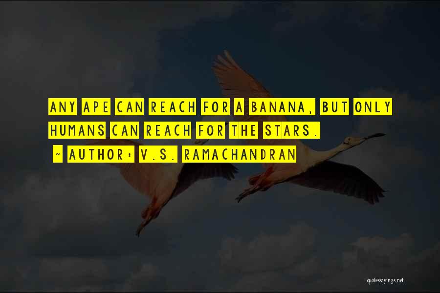 V.S. Ramachandran Quotes: Any Ape Can Reach For A Banana, But Only Humans Can Reach For The Stars.