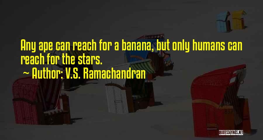 V.S. Ramachandran Quotes: Any Ape Can Reach For A Banana, But Only Humans Can Reach For The Stars.