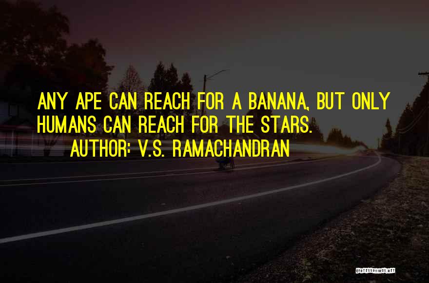 V.S. Ramachandran Quotes: Any Ape Can Reach For A Banana, But Only Humans Can Reach For The Stars.