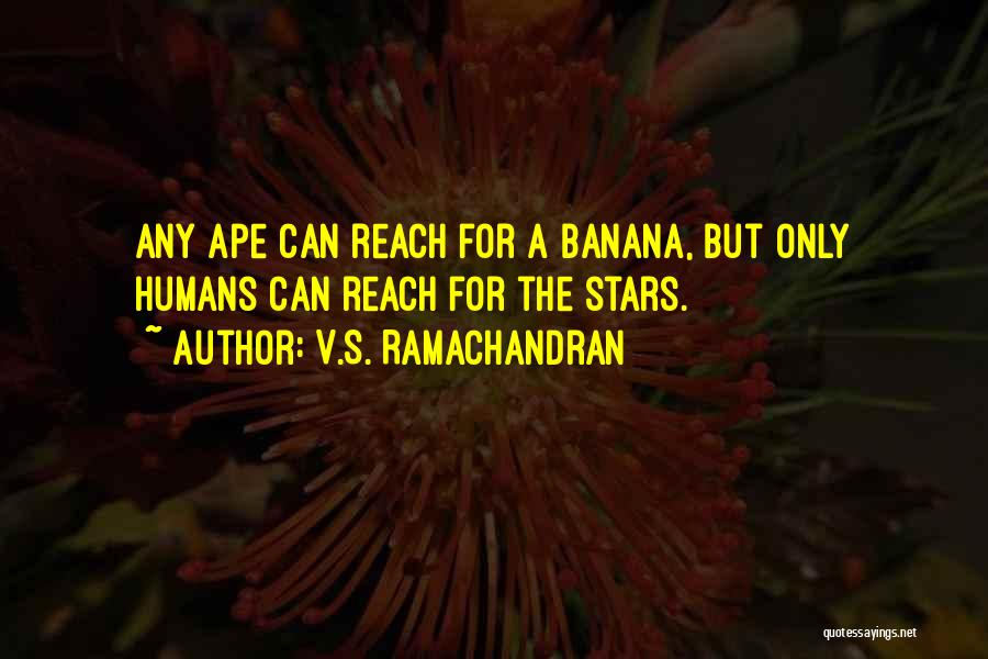 V.S. Ramachandran Quotes: Any Ape Can Reach For A Banana, But Only Humans Can Reach For The Stars.