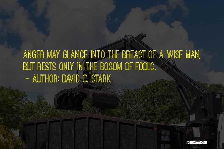 David C. Stark Quotes: Anger May Glance Into The Breast Of A Wise Man, But Rests Only In The Bosom Of Fools.