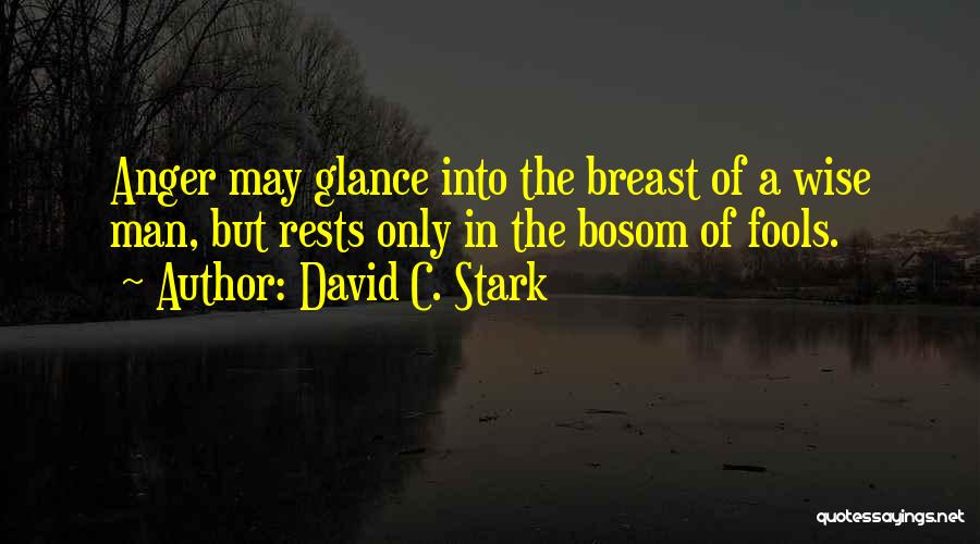 David C. Stark Quotes: Anger May Glance Into The Breast Of A Wise Man, But Rests Only In The Bosom Of Fools.