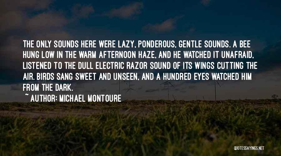 Michael Montoure Quotes: The Only Sounds Here Were Lazy, Ponderous, Gentle Sounds. A Bee Hung Low In The Warm Afternoon Haze, And He