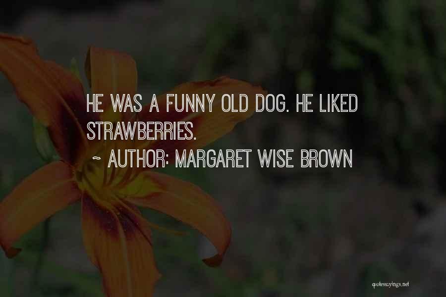 Margaret Wise Brown Quotes: He Was A Funny Old Dog. He Liked Strawberries.