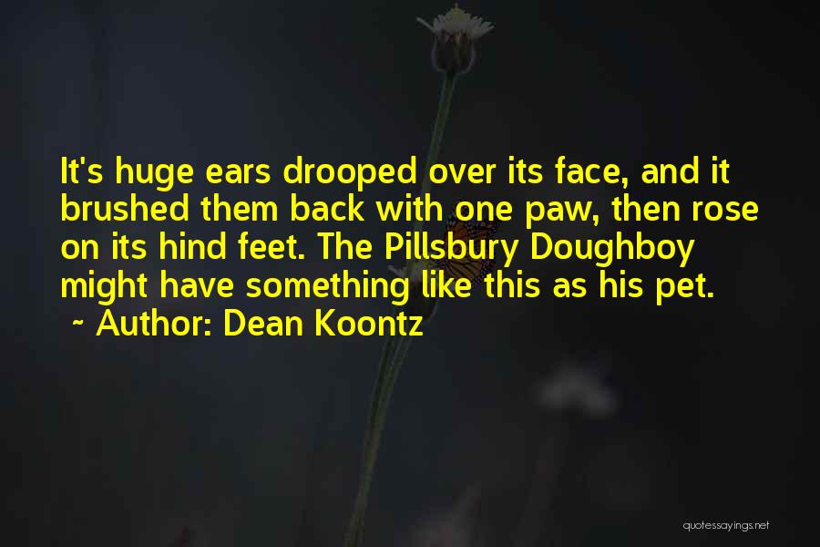 Dean Koontz Quotes: It's Huge Ears Drooped Over Its Face, And It Brushed Them Back With One Paw, Then Rose On Its Hind