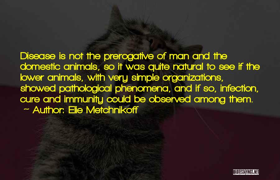 Elie Metchnikoff Quotes: Disease Is Not The Prerogative Of Man And The Domestic Animals, So It Was Quite Natural To See If The