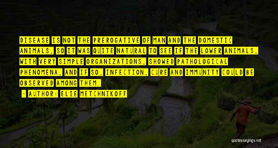 Elie Metchnikoff Quotes: Disease Is Not The Prerogative Of Man And The Domestic Animals, So It Was Quite Natural To See If The