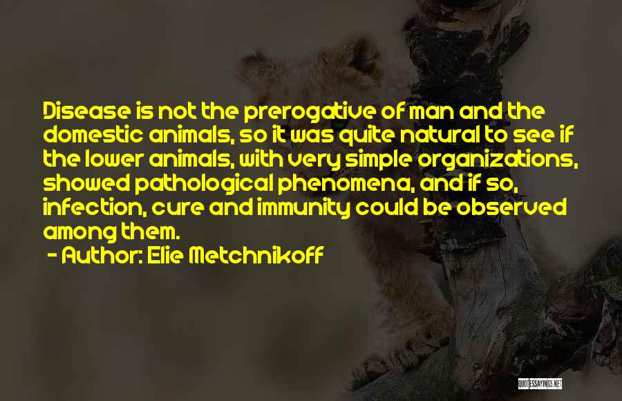 Elie Metchnikoff Quotes: Disease Is Not The Prerogative Of Man And The Domestic Animals, So It Was Quite Natural To See If The