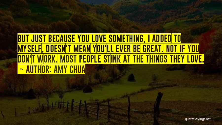Amy Chua Quotes: But Just Because You Love Something, I Added To Myself, Doesn't Mean You'll Ever Be Great. Not If You Don't