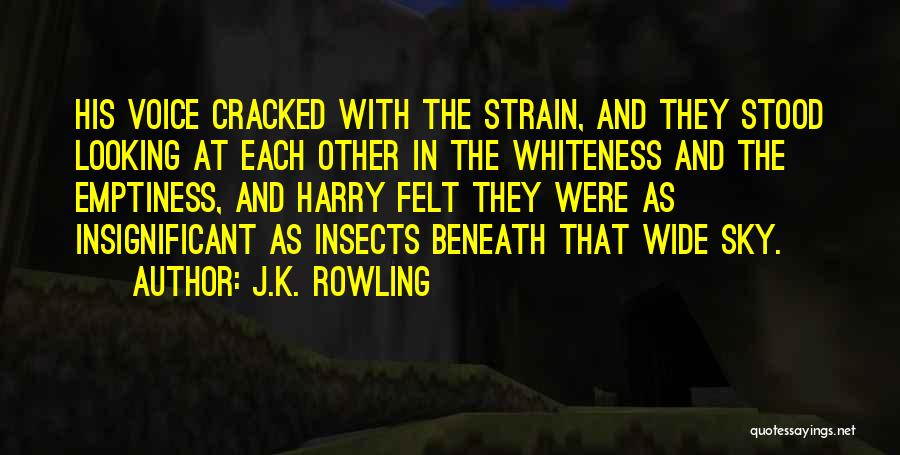 J.K. Rowling Quotes: His Voice Cracked With The Strain, And They Stood Looking At Each Other In The Whiteness And The Emptiness, And
