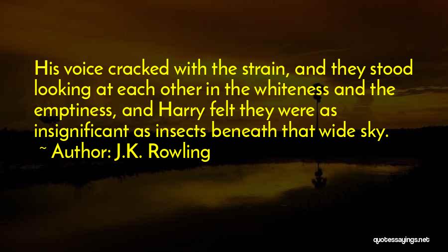 J.K. Rowling Quotes: His Voice Cracked With The Strain, And They Stood Looking At Each Other In The Whiteness And The Emptiness, And