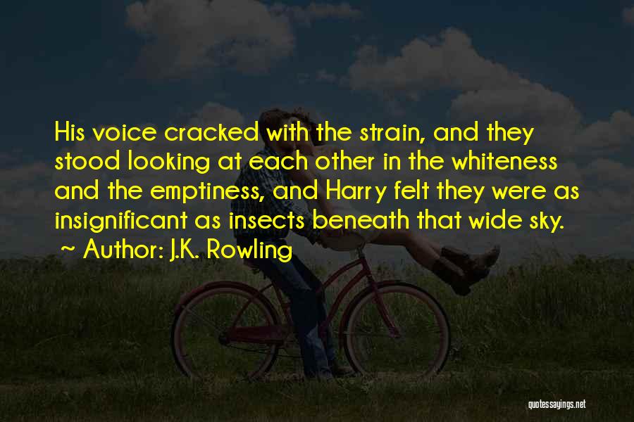 J.K. Rowling Quotes: His Voice Cracked With The Strain, And They Stood Looking At Each Other In The Whiteness And The Emptiness, And