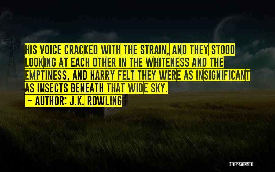 J.K. Rowling Quotes: His Voice Cracked With The Strain, And They Stood Looking At Each Other In The Whiteness And The Emptiness, And
