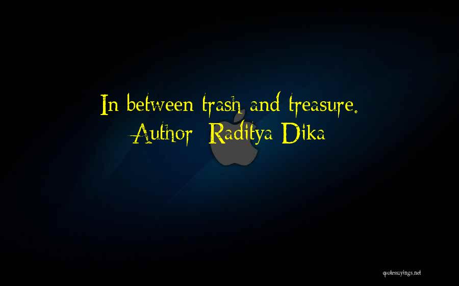 Raditya Dika Quotes: In Between Trash And Treasure.