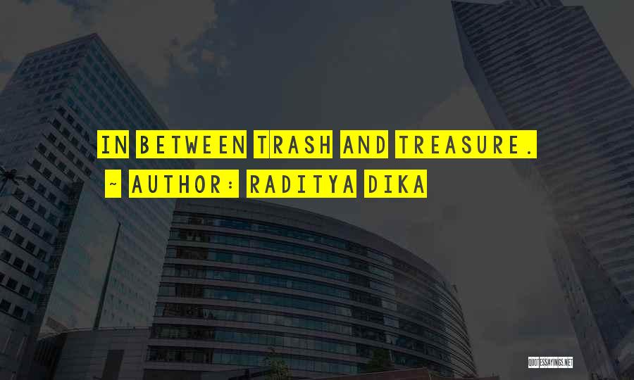 Raditya Dika Quotes: In Between Trash And Treasure.