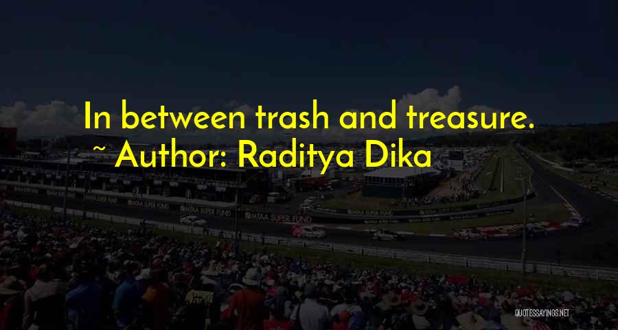 Raditya Dika Quotes: In Between Trash And Treasure.