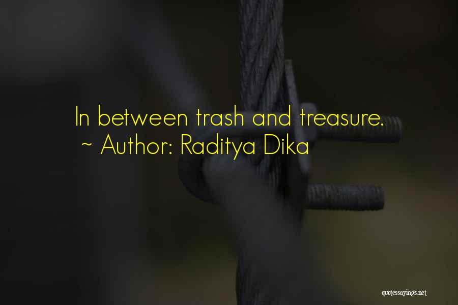 Raditya Dika Quotes: In Between Trash And Treasure.