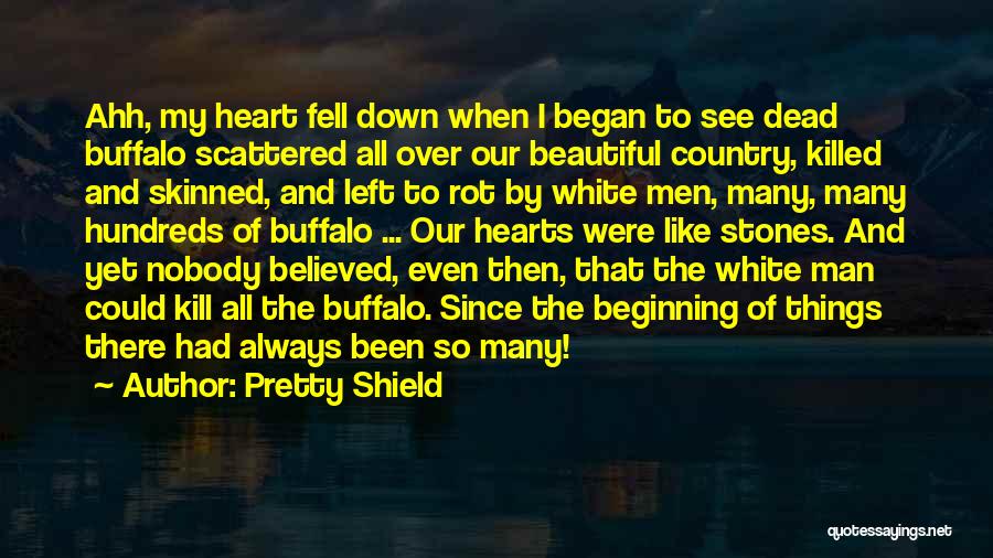 Pretty Shield Quotes: Ahh, My Heart Fell Down When I Began To See Dead Buffalo Scattered All Over Our Beautiful Country, Killed And