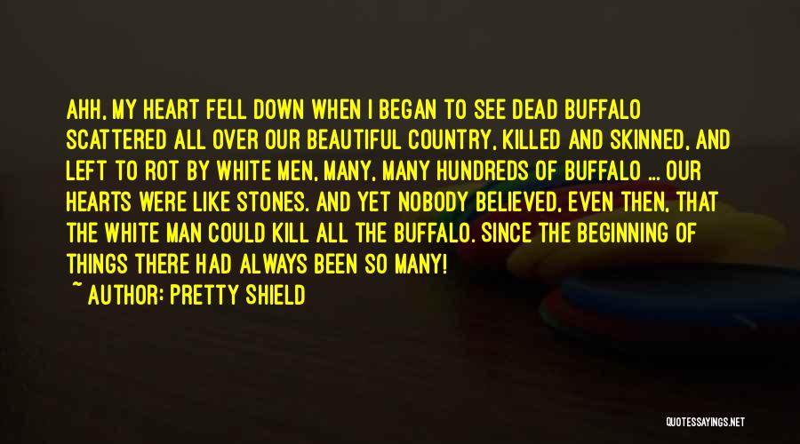 Pretty Shield Quotes: Ahh, My Heart Fell Down When I Began To See Dead Buffalo Scattered All Over Our Beautiful Country, Killed And