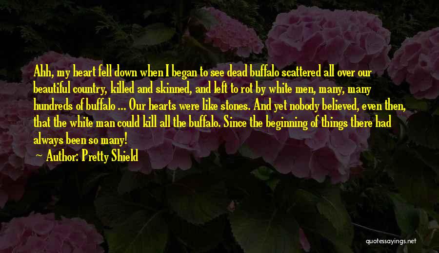 Pretty Shield Quotes: Ahh, My Heart Fell Down When I Began To See Dead Buffalo Scattered All Over Our Beautiful Country, Killed And