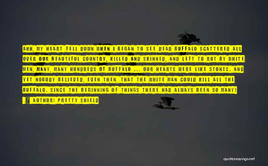 Pretty Shield Quotes: Ahh, My Heart Fell Down When I Began To See Dead Buffalo Scattered All Over Our Beautiful Country, Killed And