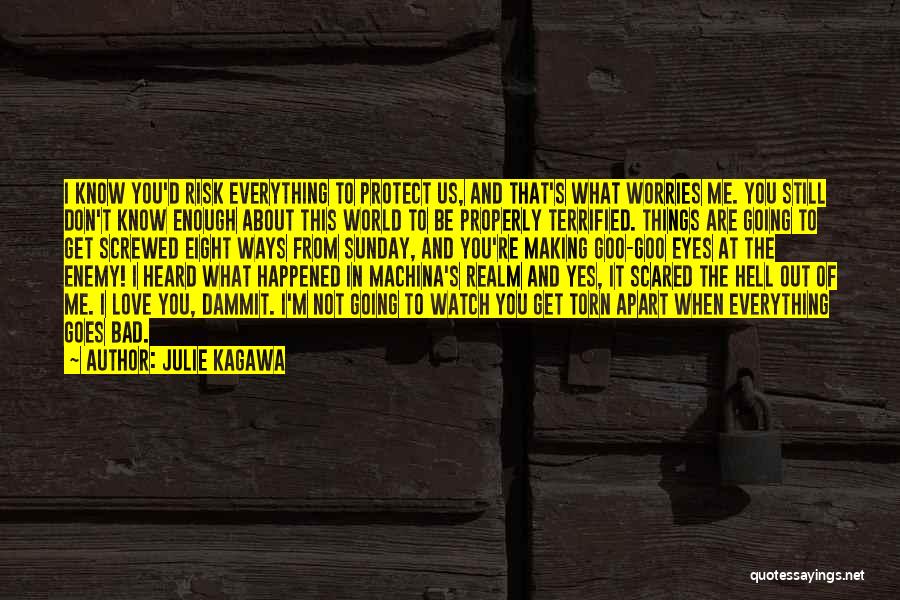 Julie Kagawa Quotes: I Know You'd Risk Everything To Protect Us, And That's What Worries Me. You Still Don't Know Enough About This