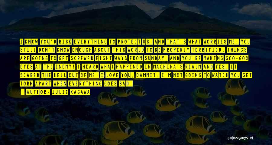 Julie Kagawa Quotes: I Know You'd Risk Everything To Protect Us, And That's What Worries Me. You Still Don't Know Enough About This
