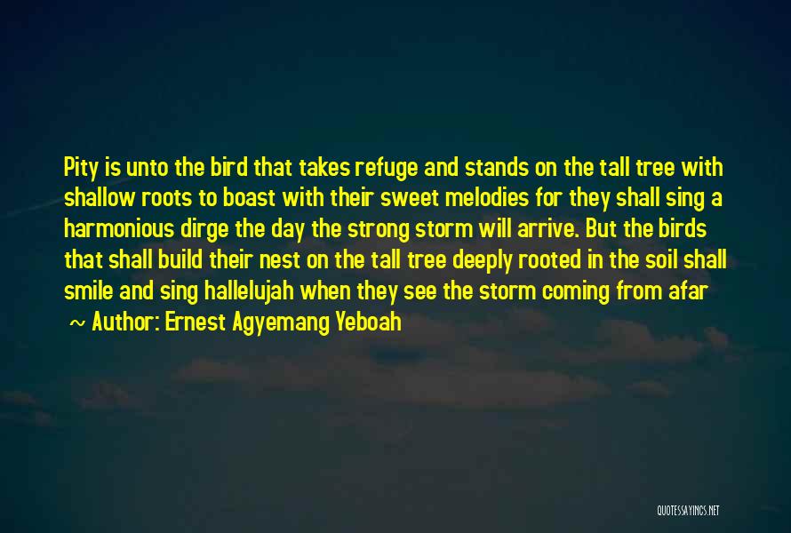 Ernest Agyemang Yeboah Quotes: Pity Is Unto The Bird That Takes Refuge And Stands On The Tall Tree With Shallow Roots To Boast With