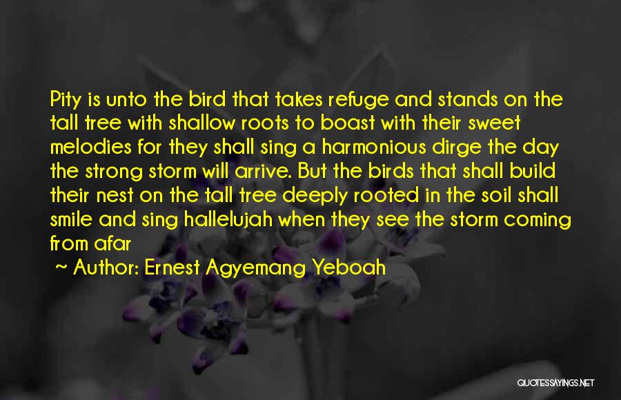 Ernest Agyemang Yeboah Quotes: Pity Is Unto The Bird That Takes Refuge And Stands On The Tall Tree With Shallow Roots To Boast With