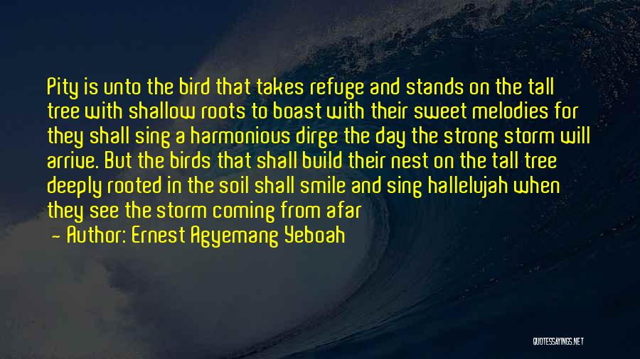 Ernest Agyemang Yeboah Quotes: Pity Is Unto The Bird That Takes Refuge And Stands On The Tall Tree With Shallow Roots To Boast With