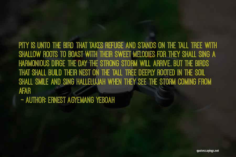 Ernest Agyemang Yeboah Quotes: Pity Is Unto The Bird That Takes Refuge And Stands On The Tall Tree With Shallow Roots To Boast With