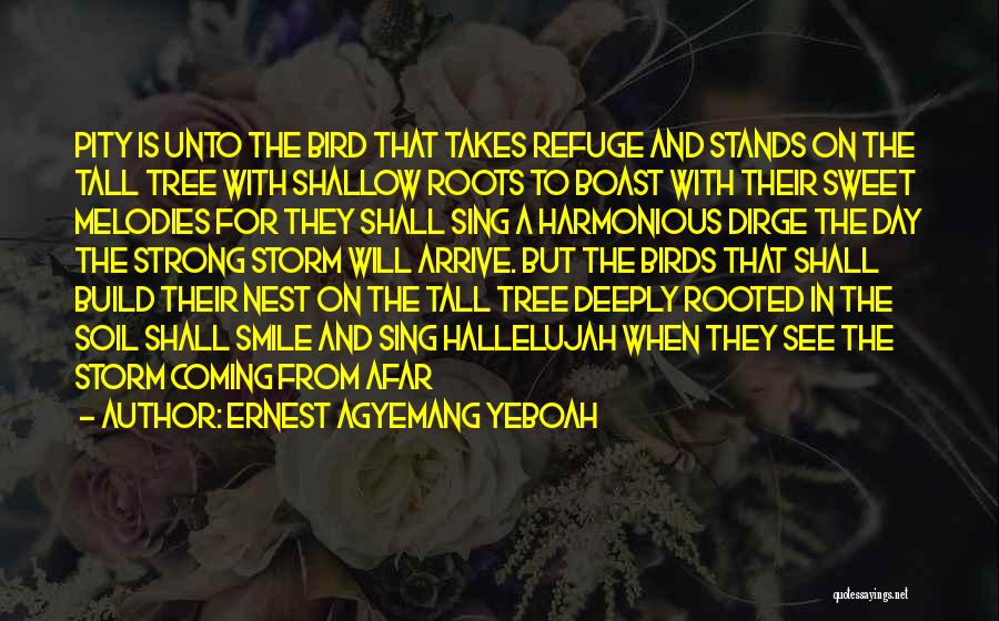 Ernest Agyemang Yeboah Quotes: Pity Is Unto The Bird That Takes Refuge And Stands On The Tall Tree With Shallow Roots To Boast With