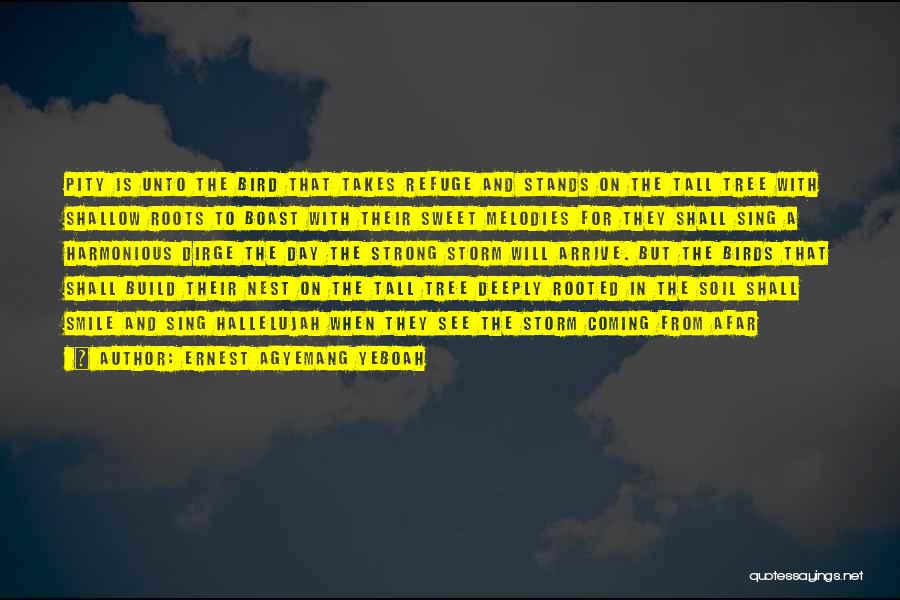 Ernest Agyemang Yeboah Quotes: Pity Is Unto The Bird That Takes Refuge And Stands On The Tall Tree With Shallow Roots To Boast With
