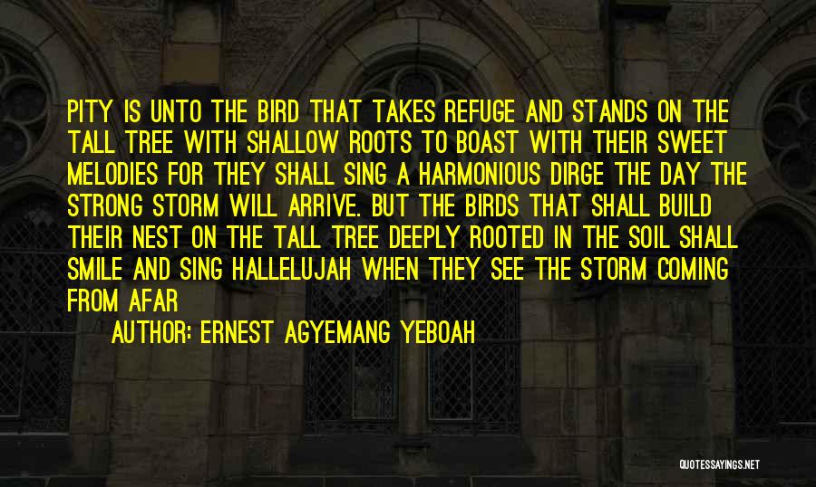 Ernest Agyemang Yeboah Quotes: Pity Is Unto The Bird That Takes Refuge And Stands On The Tall Tree With Shallow Roots To Boast With