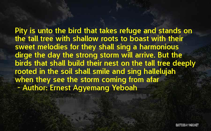 Ernest Agyemang Yeboah Quotes: Pity Is Unto The Bird That Takes Refuge And Stands On The Tall Tree With Shallow Roots To Boast With