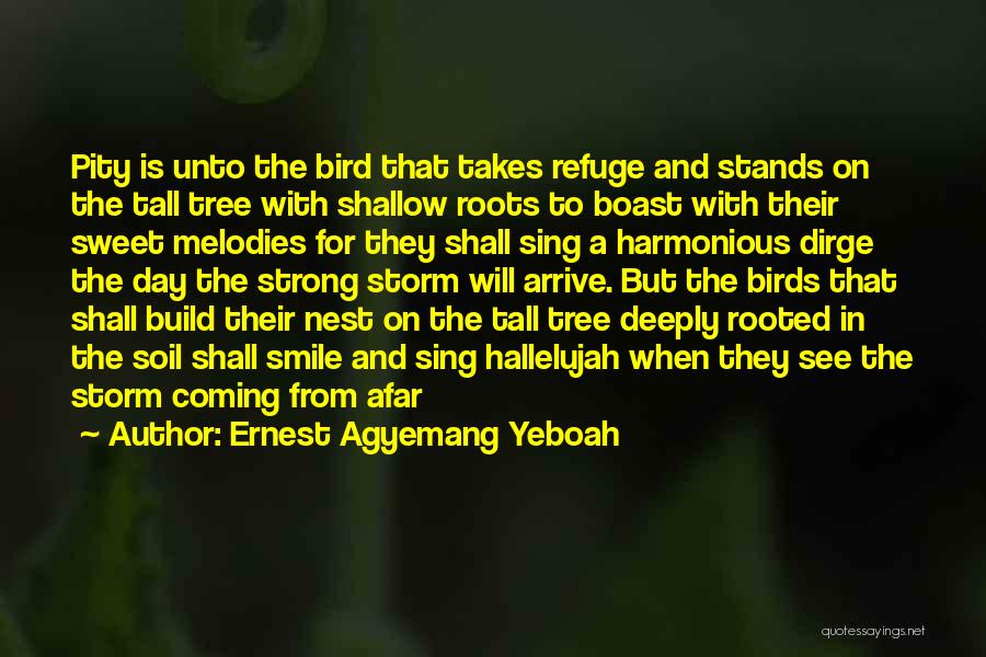 Ernest Agyemang Yeboah Quotes: Pity Is Unto The Bird That Takes Refuge And Stands On The Tall Tree With Shallow Roots To Boast With