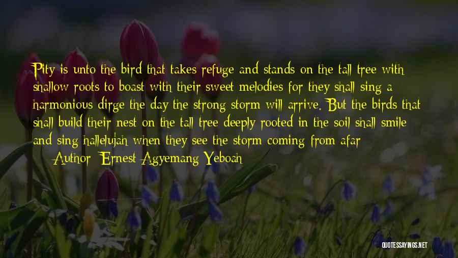 Ernest Agyemang Yeboah Quotes: Pity Is Unto The Bird That Takes Refuge And Stands On The Tall Tree With Shallow Roots To Boast With