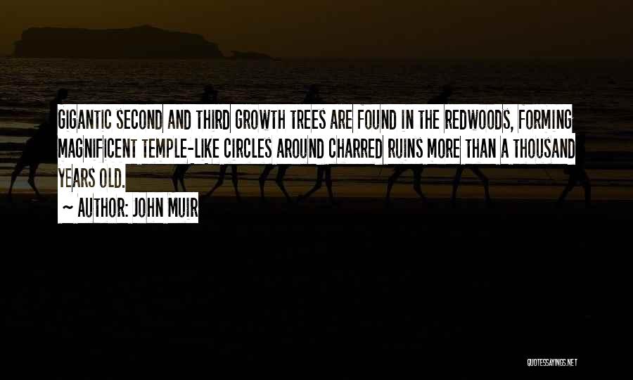 John Muir Quotes: Gigantic Second And Third Growth Trees Are Found In The Redwoods, Forming Magnificent Temple-like Circles Around Charred Ruins More Than