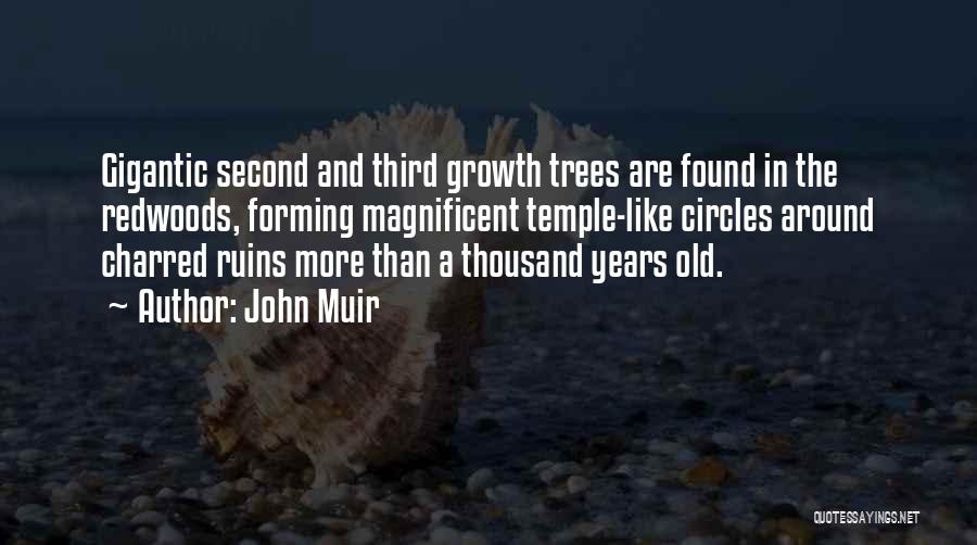 John Muir Quotes: Gigantic Second And Third Growth Trees Are Found In The Redwoods, Forming Magnificent Temple-like Circles Around Charred Ruins More Than