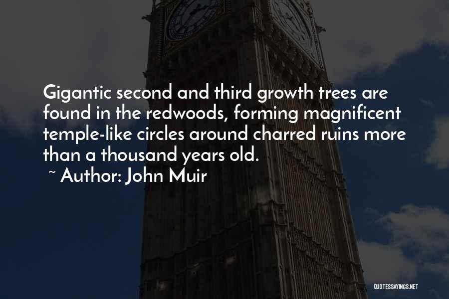John Muir Quotes: Gigantic Second And Third Growth Trees Are Found In The Redwoods, Forming Magnificent Temple-like Circles Around Charred Ruins More Than
