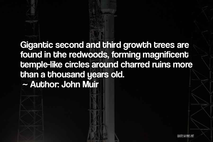 John Muir Quotes: Gigantic Second And Third Growth Trees Are Found In The Redwoods, Forming Magnificent Temple-like Circles Around Charred Ruins More Than