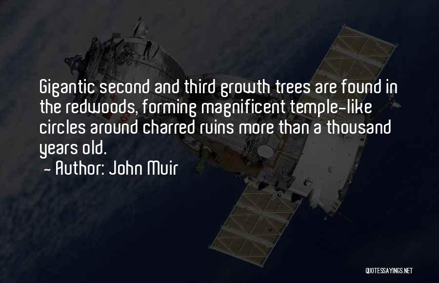 John Muir Quotes: Gigantic Second And Third Growth Trees Are Found In The Redwoods, Forming Magnificent Temple-like Circles Around Charred Ruins More Than