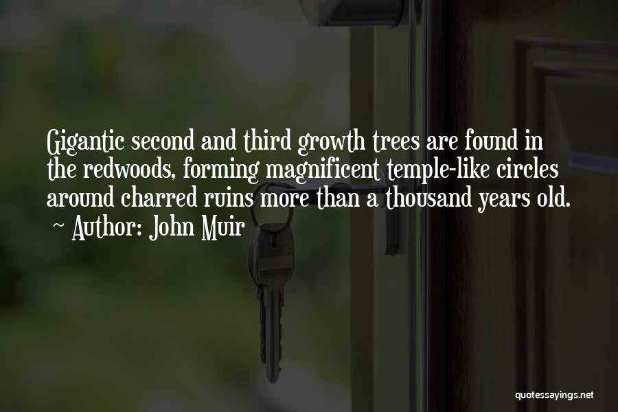 John Muir Quotes: Gigantic Second And Third Growth Trees Are Found In The Redwoods, Forming Magnificent Temple-like Circles Around Charred Ruins More Than