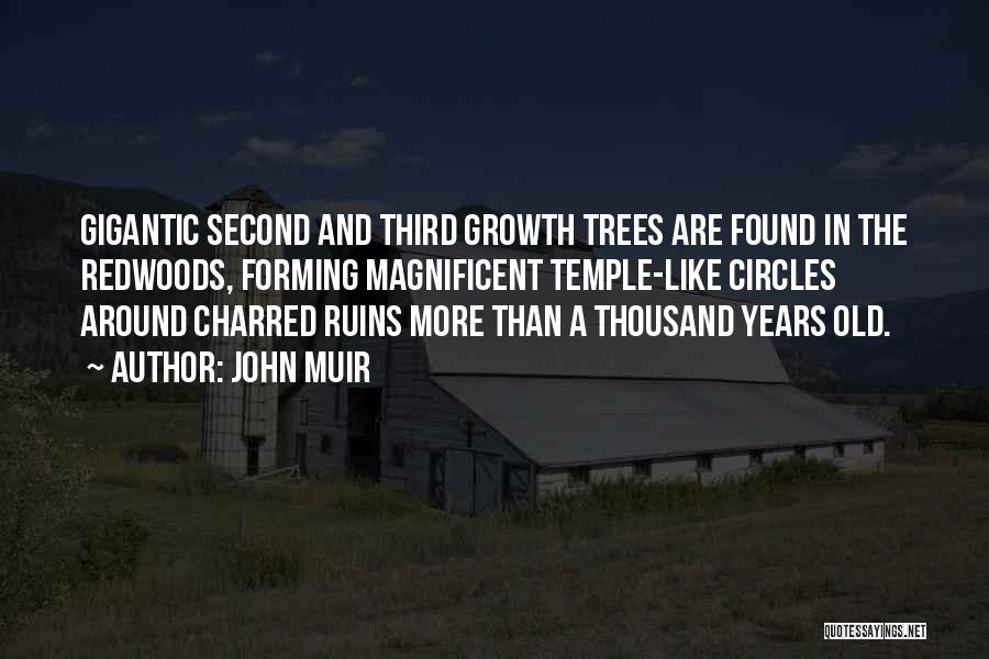 John Muir Quotes: Gigantic Second And Third Growth Trees Are Found In The Redwoods, Forming Magnificent Temple-like Circles Around Charred Ruins More Than