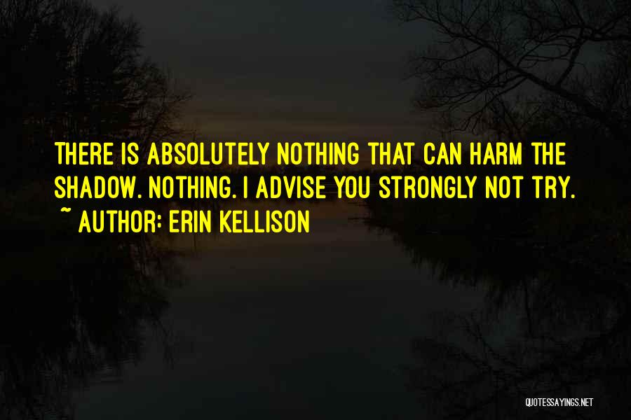 Erin Kellison Quotes: There Is Absolutely Nothing That Can Harm The Shadow. Nothing. I Advise You Strongly Not Try.