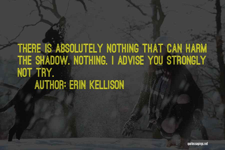 Erin Kellison Quotes: There Is Absolutely Nothing That Can Harm The Shadow. Nothing. I Advise You Strongly Not Try.
