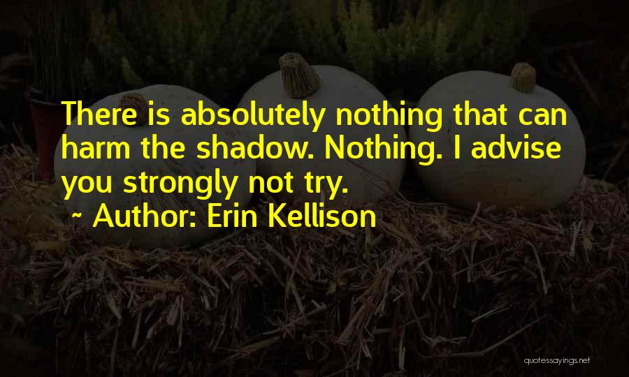 Erin Kellison Quotes: There Is Absolutely Nothing That Can Harm The Shadow. Nothing. I Advise You Strongly Not Try.