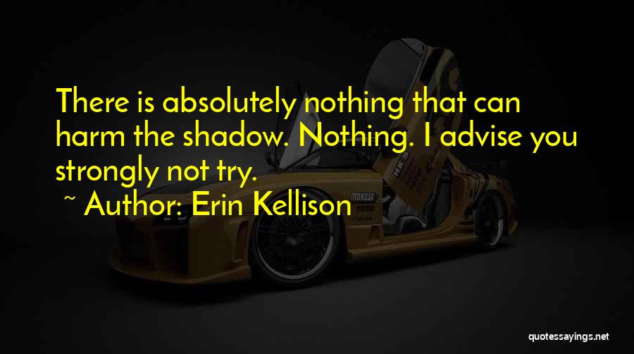 Erin Kellison Quotes: There Is Absolutely Nothing That Can Harm The Shadow. Nothing. I Advise You Strongly Not Try.