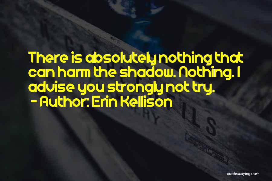 Erin Kellison Quotes: There Is Absolutely Nothing That Can Harm The Shadow. Nothing. I Advise You Strongly Not Try.